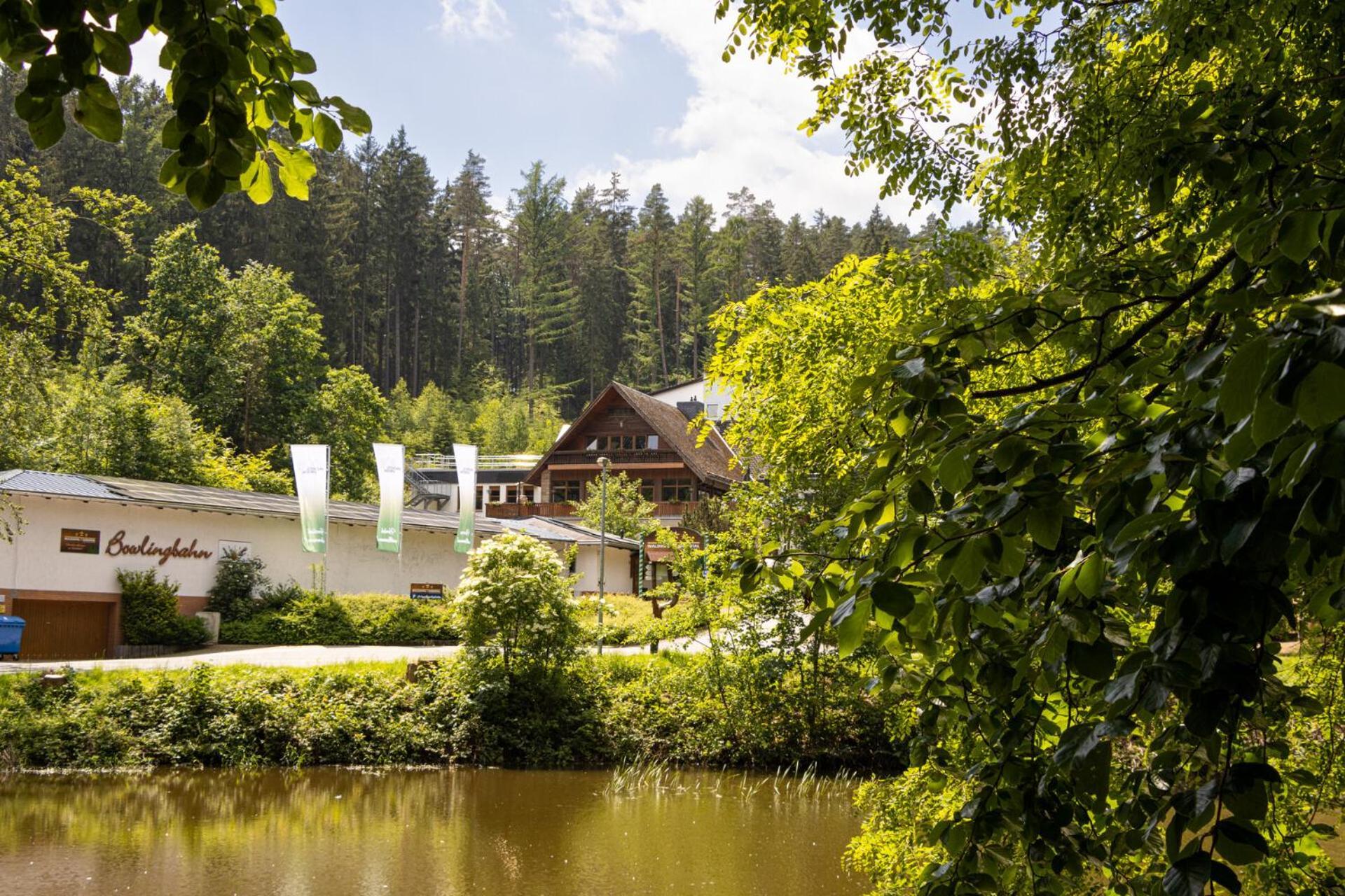 Hotel Waldhotel Ehrental 3*